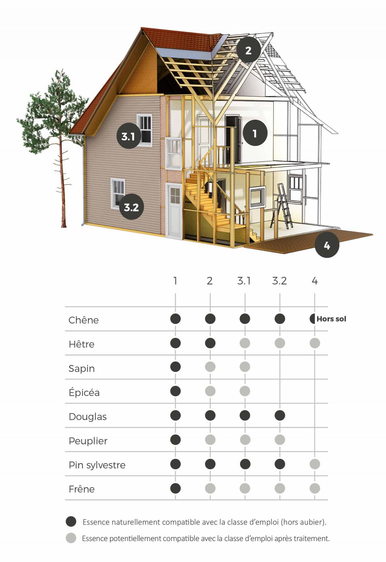 Durabilité du bois THT Bois Durables de Bourgogne — free download